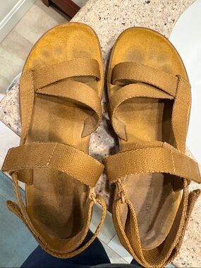 Everlane Strap Sandals - size 7